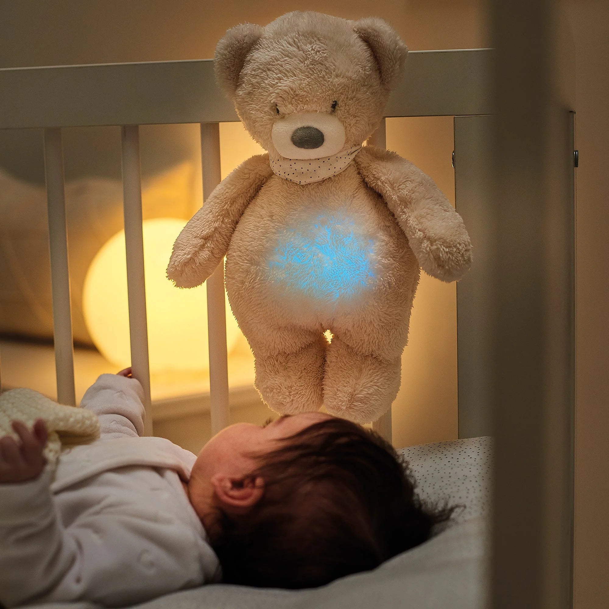 Orsetto Luce Notturna