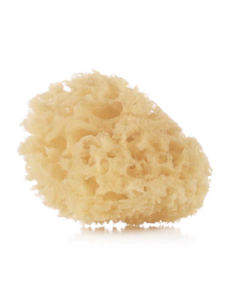 Spugna Naturale