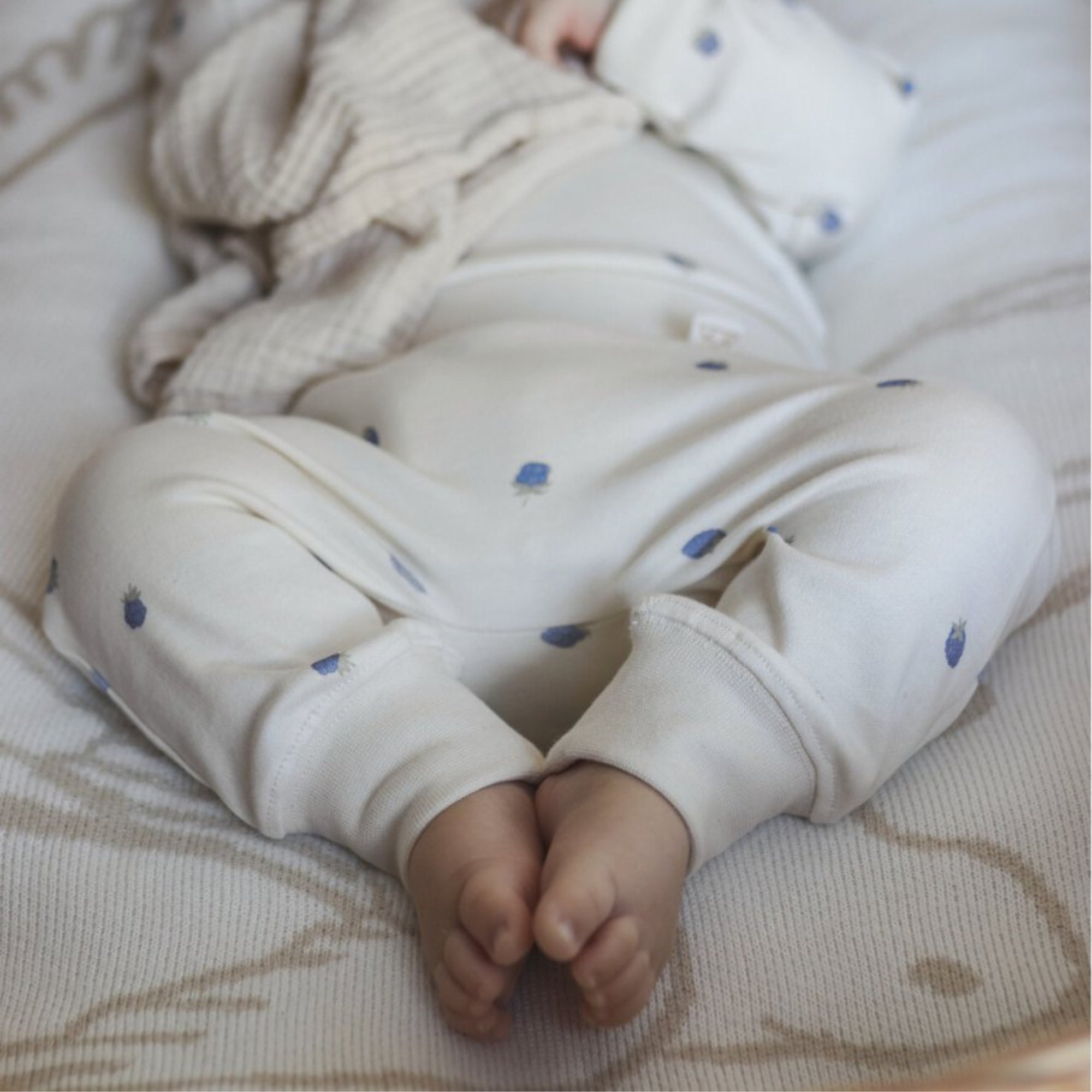 body-e-pantaloni-in-cotone-organico-stampa-mirtilli-completo-nascita