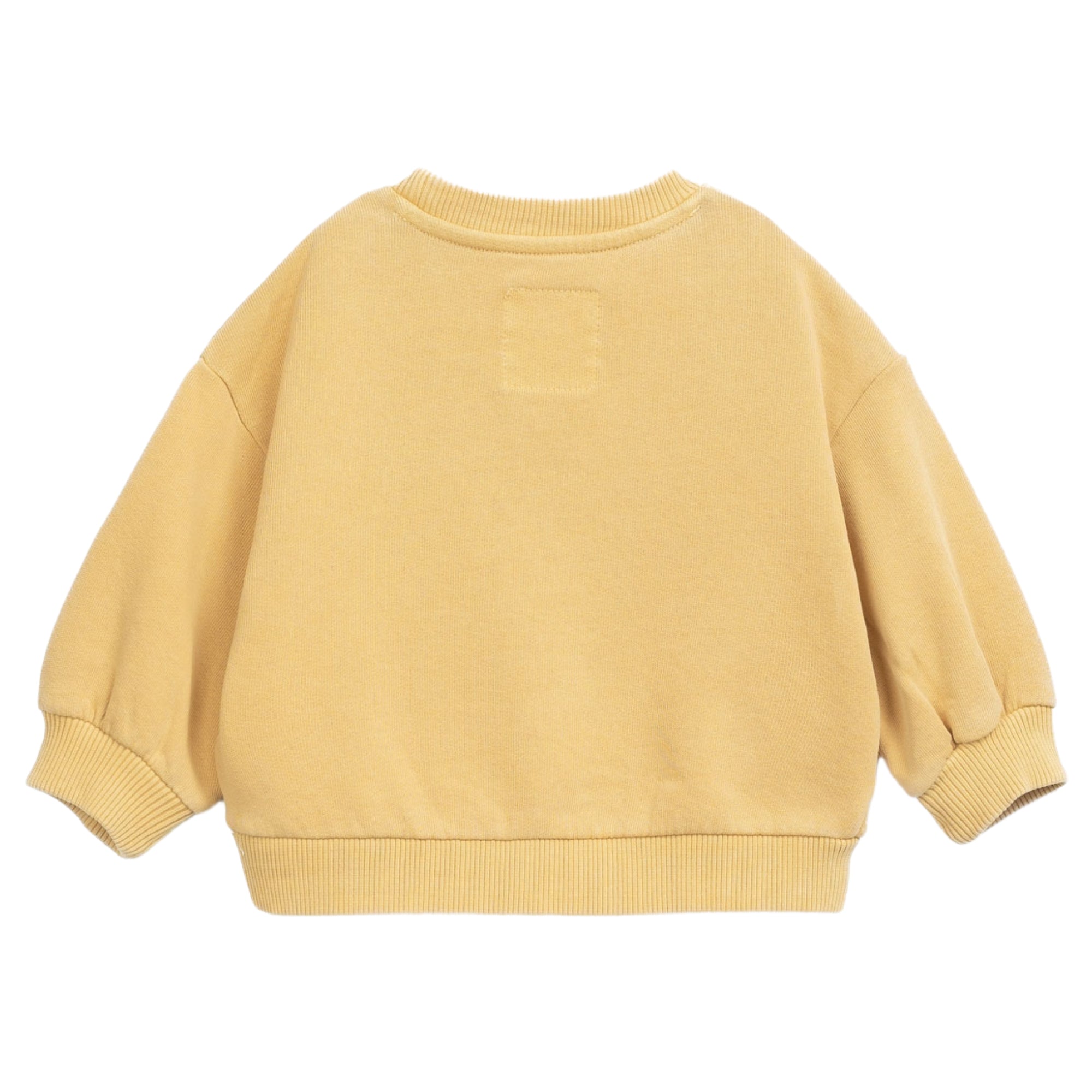 maglione-in-felpa-colore-giallo-manica-lunga-e-collo-rotondo-dietro