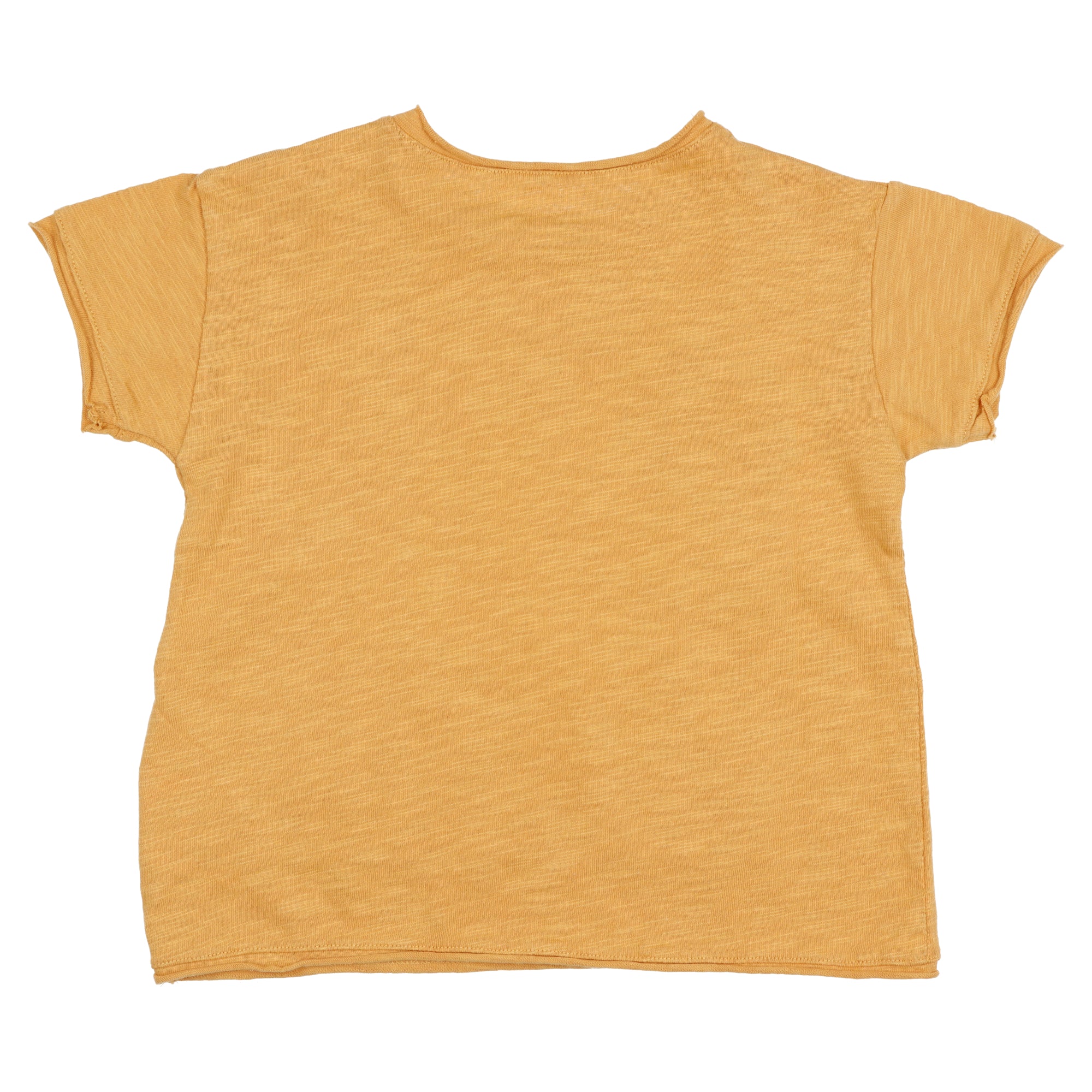 T-shirt cotone